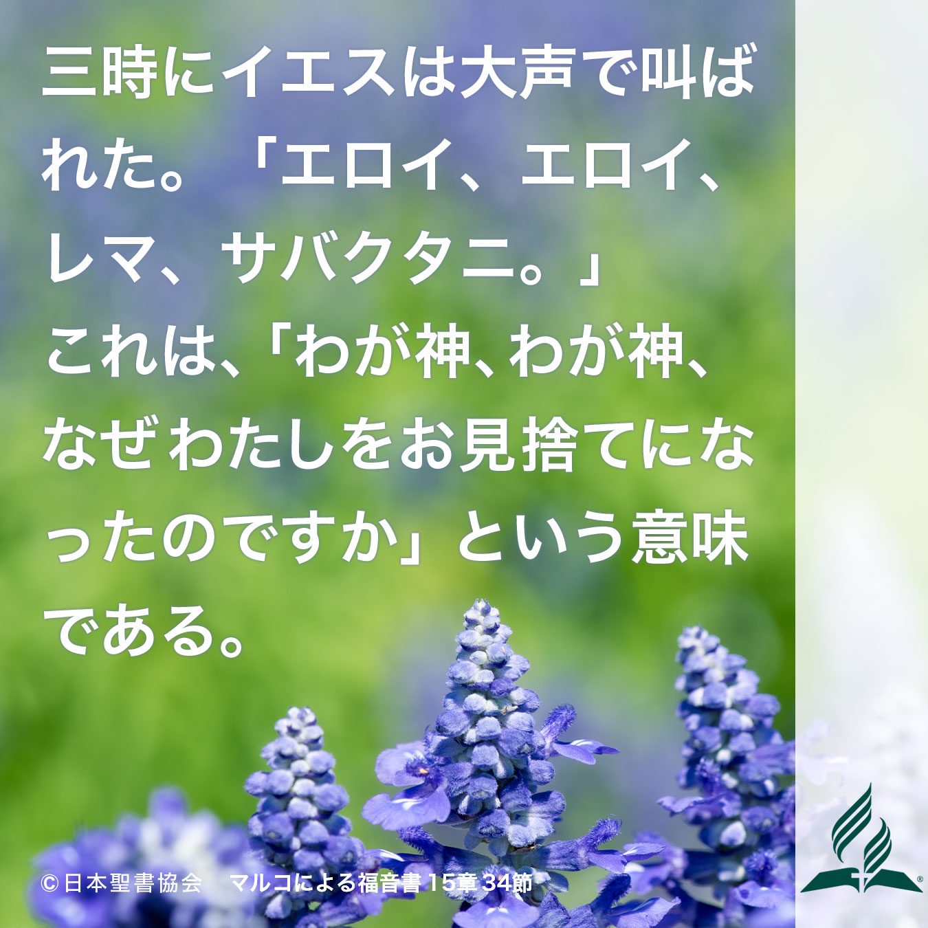 今週の暗唱聖句をお届けします