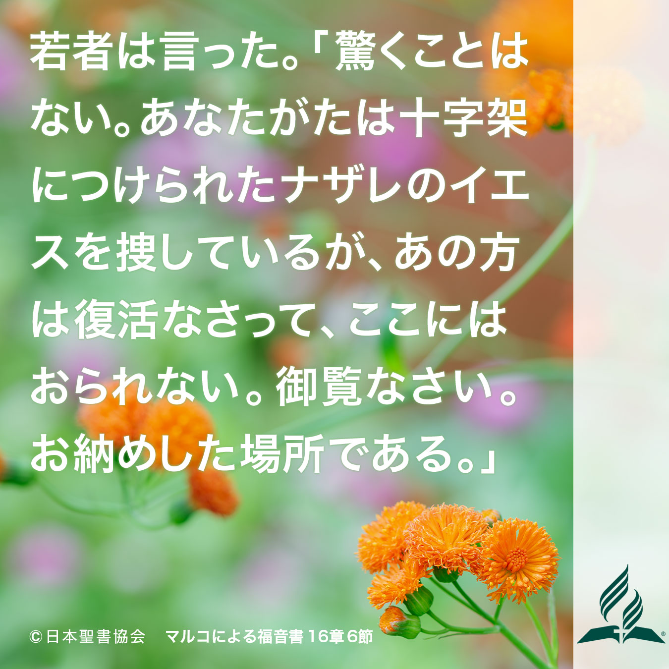 今週の暗唱聖句をお届けします