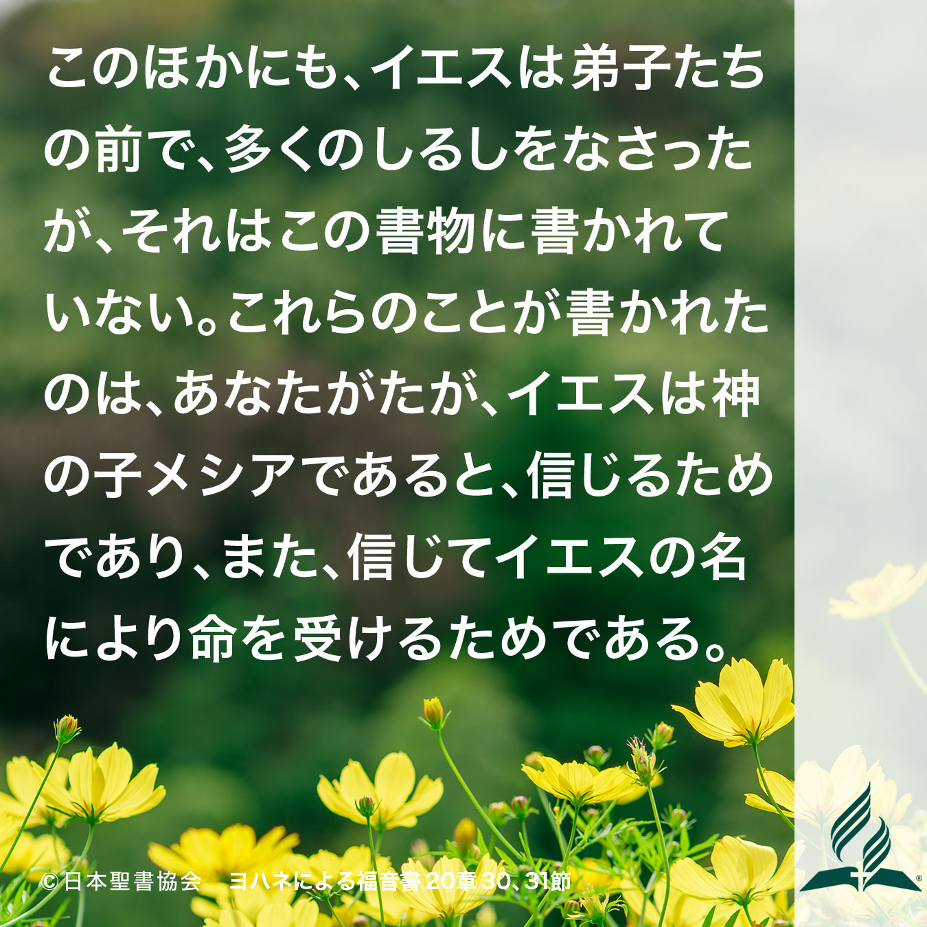 今週の暗唱聖句をお届けします