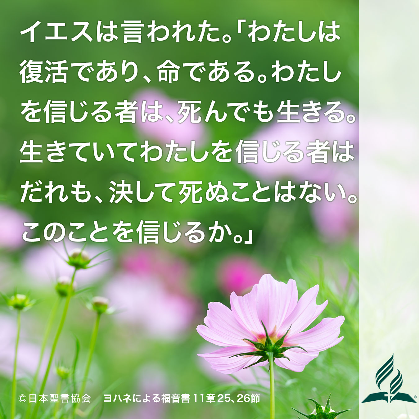 今週の暗唱聖句をお届けします