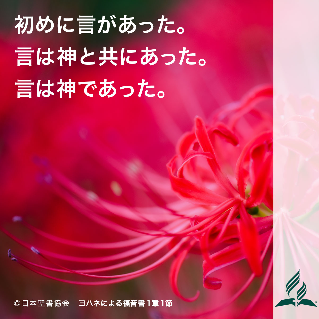 今週の暗唱聖句をお届けします