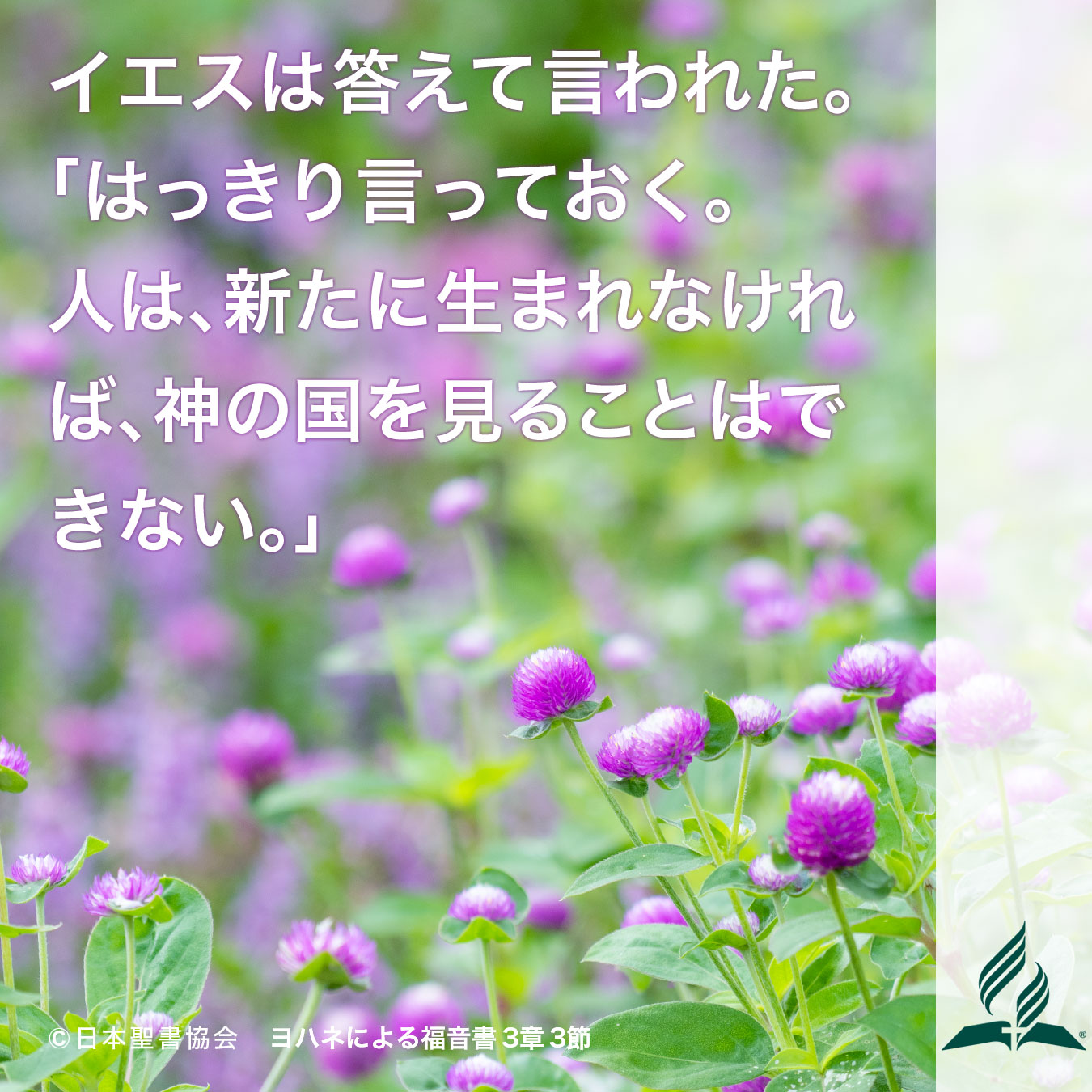 今週の暗唱聖句をお届けします