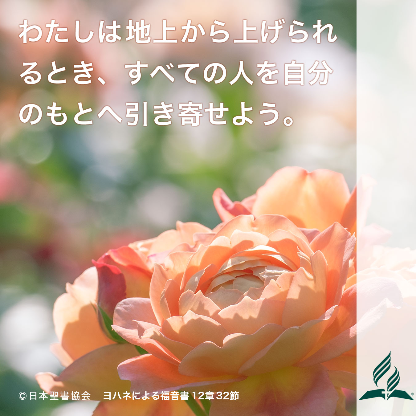 今週の暗唱聖句をお届けします