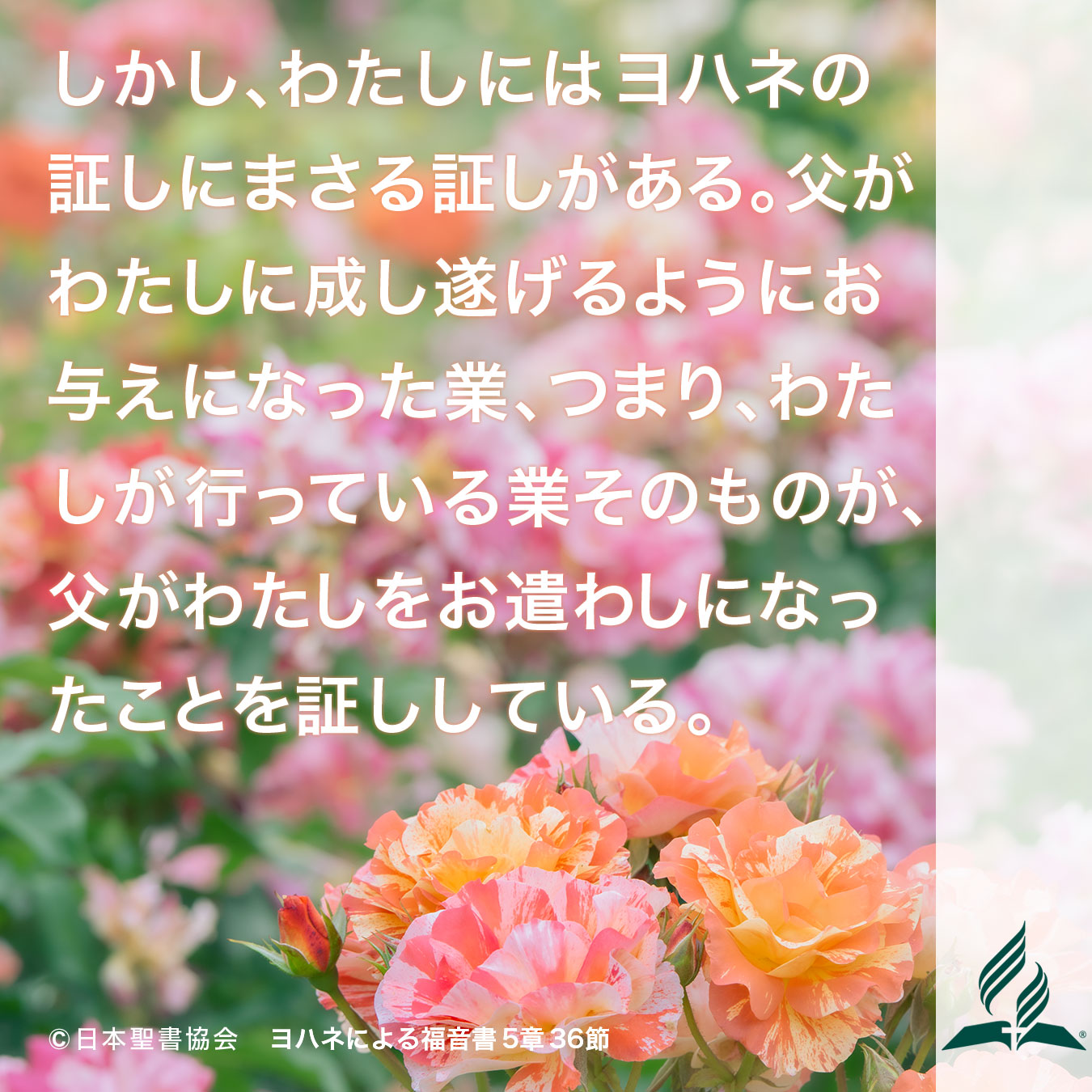 今週の暗唱聖句をお届けします