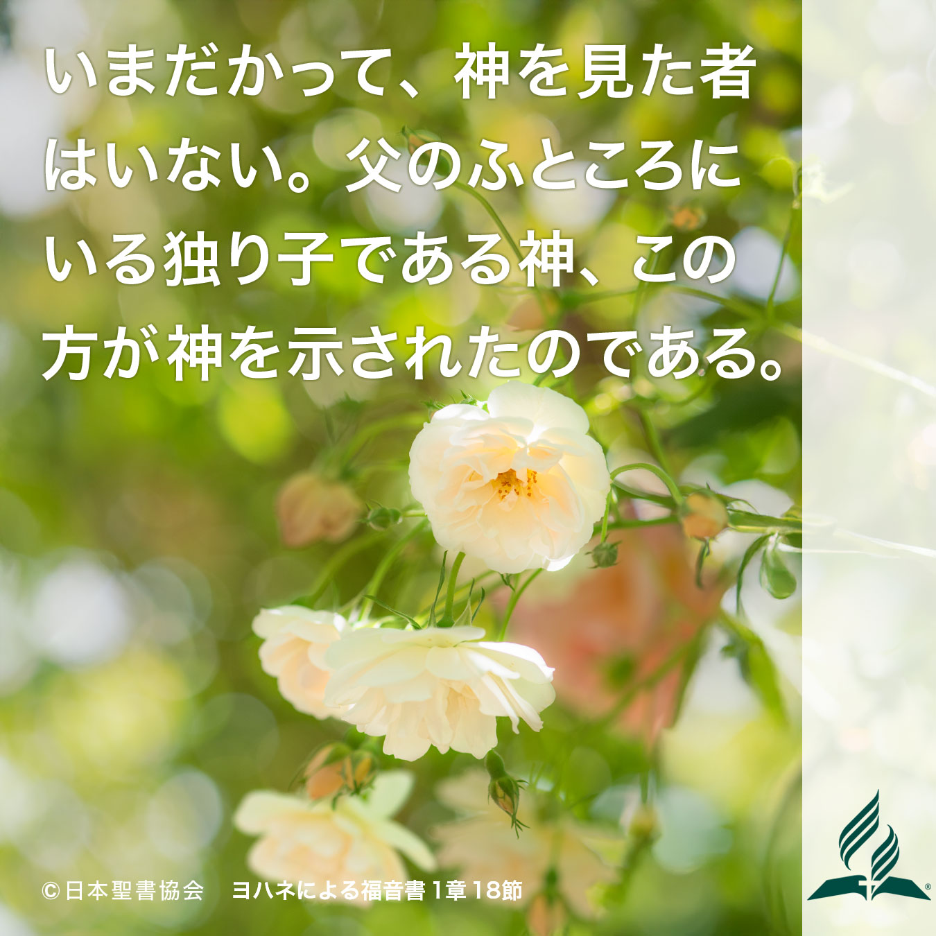 今週の暗唱聖句をお届けします