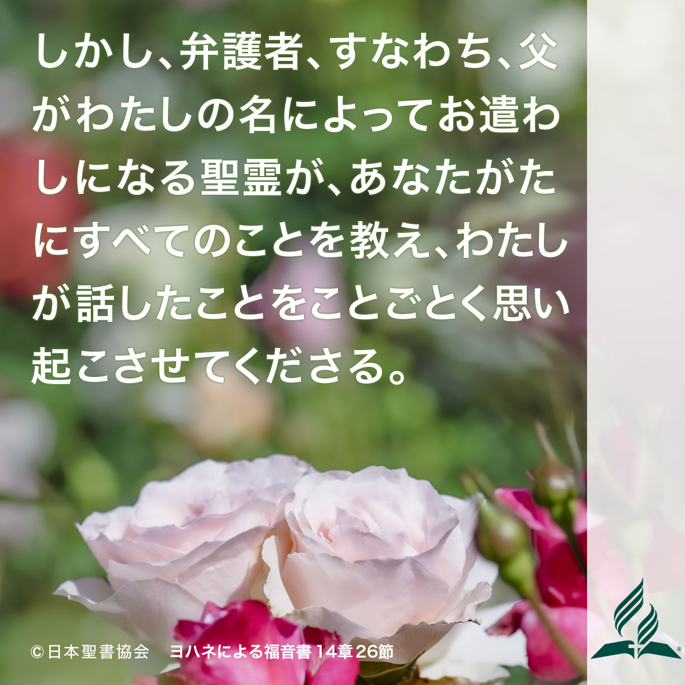 今週の暗唱聖句をお届けします