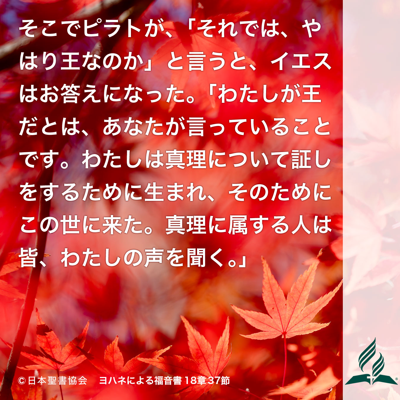 今週の暗唱聖句をお届けします