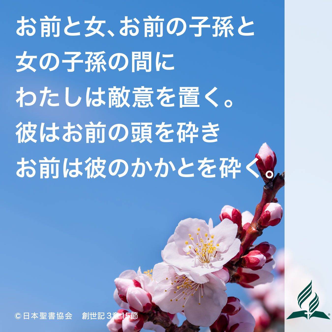 今週の暗唱聖句をお届けします