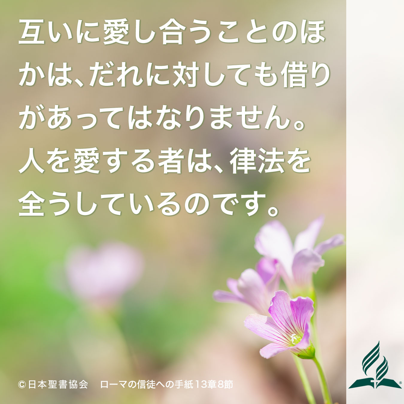 今週の暗唱聖句をお届けします