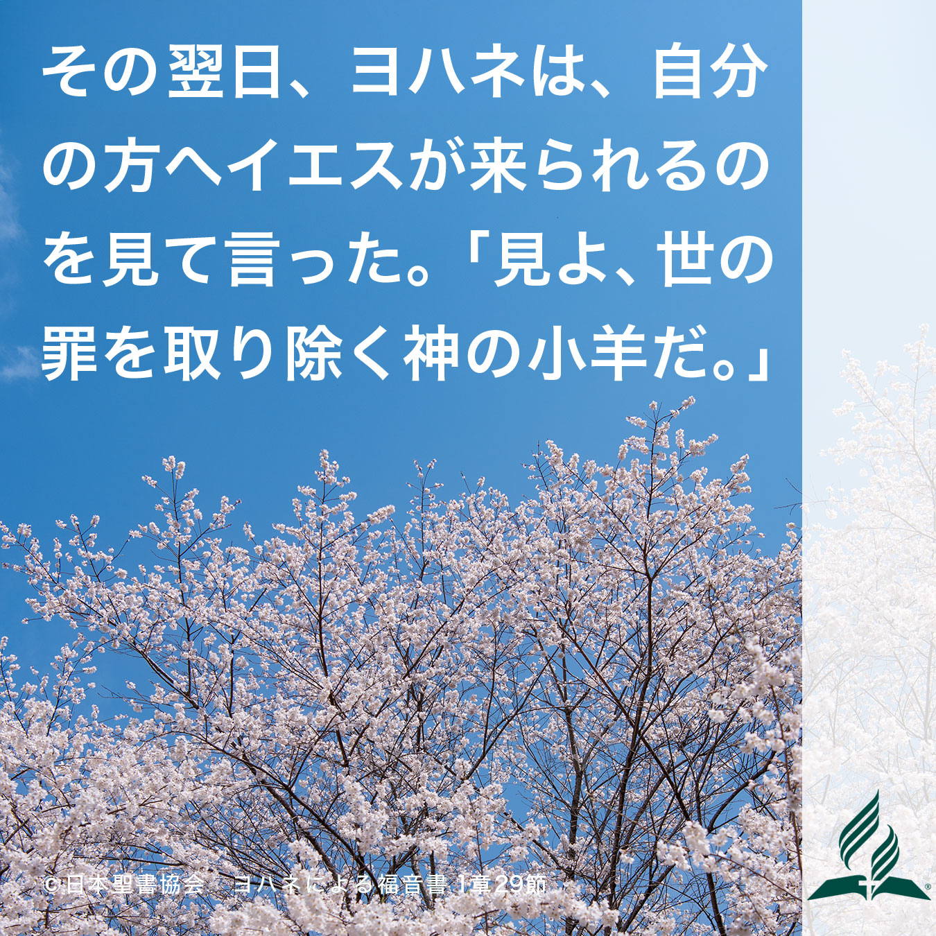 今週の暗唱聖句をお届けします