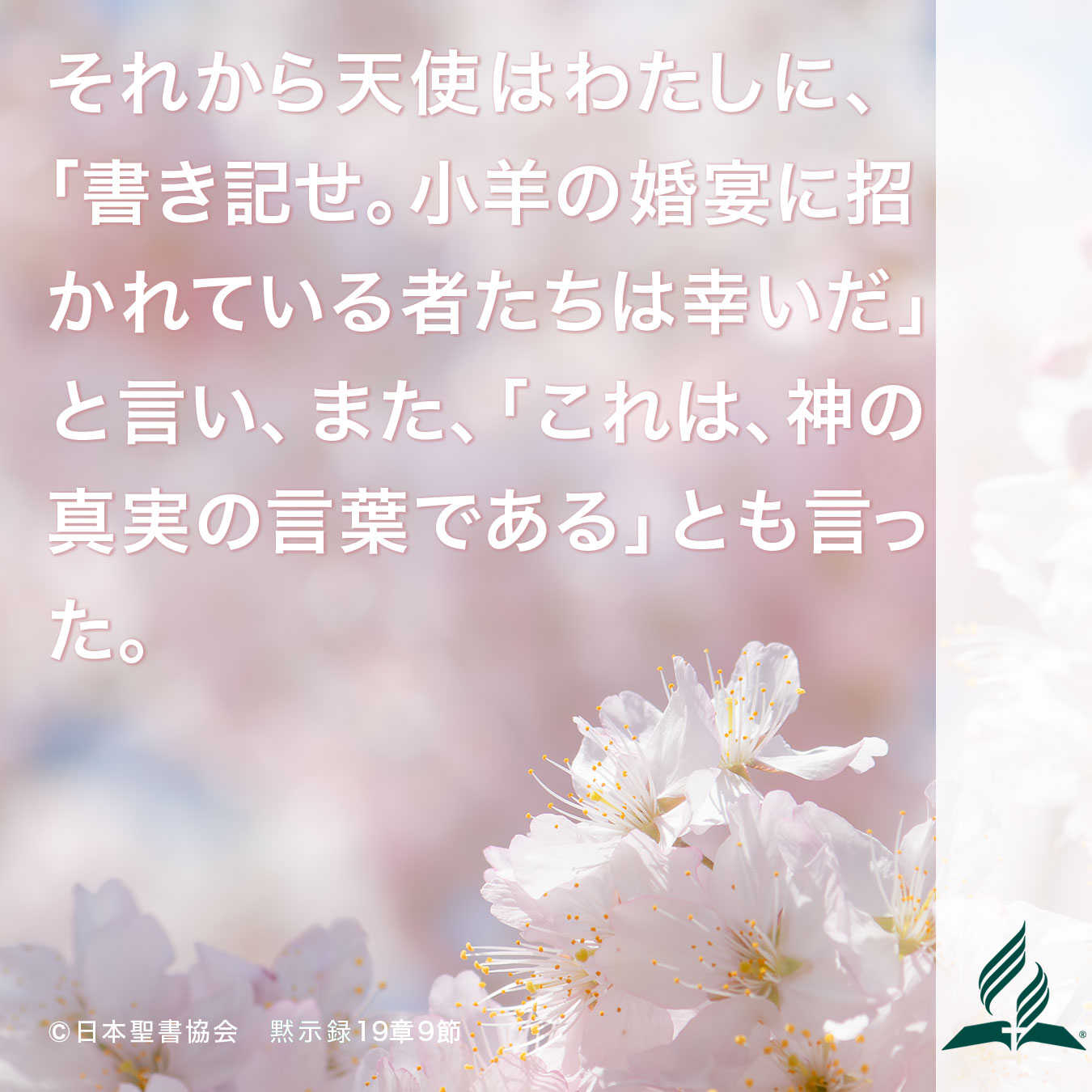 今週の暗唱聖句をお届けします