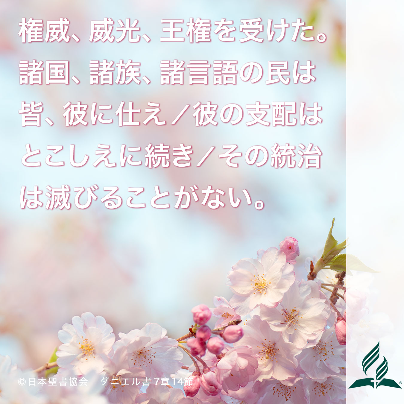 今週の暗唱聖句をお届けします 今週の暗唱聖句をお届けします