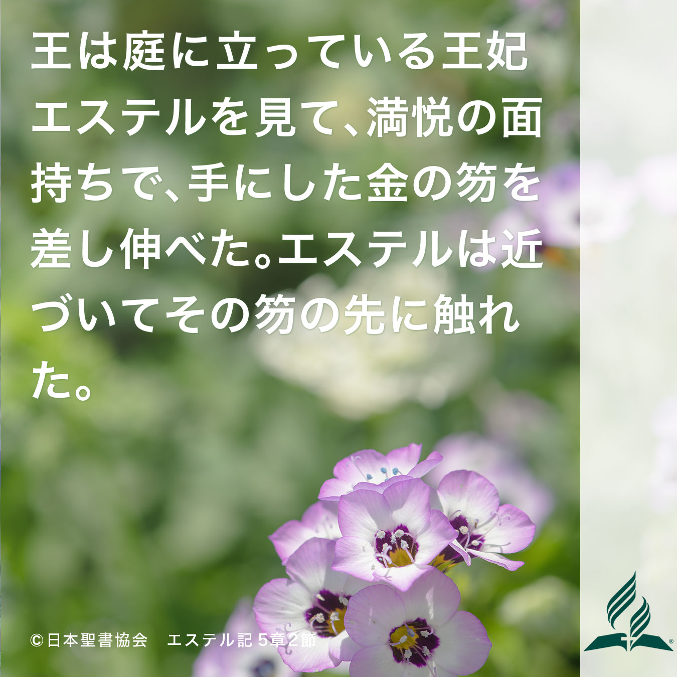 今週の暗唱聖句をお届けします
