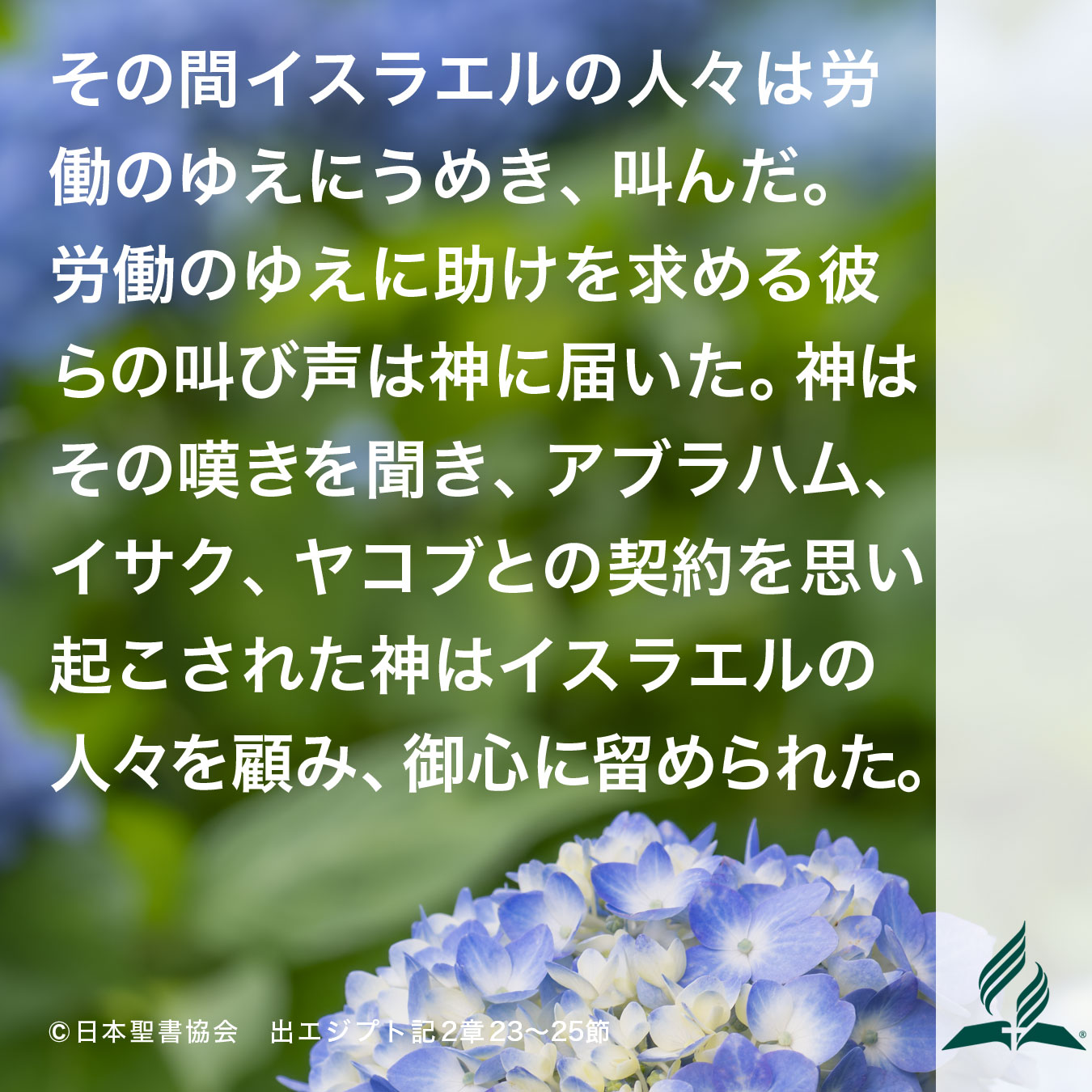 今週の暗唱聖句をお届けします