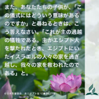 今週の暗唱聖句をお届けします