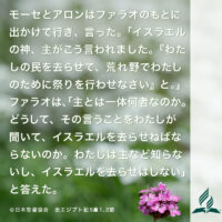 今週の暗唱聖句をお届けします