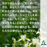 今週の暗唱聖句をお届けします