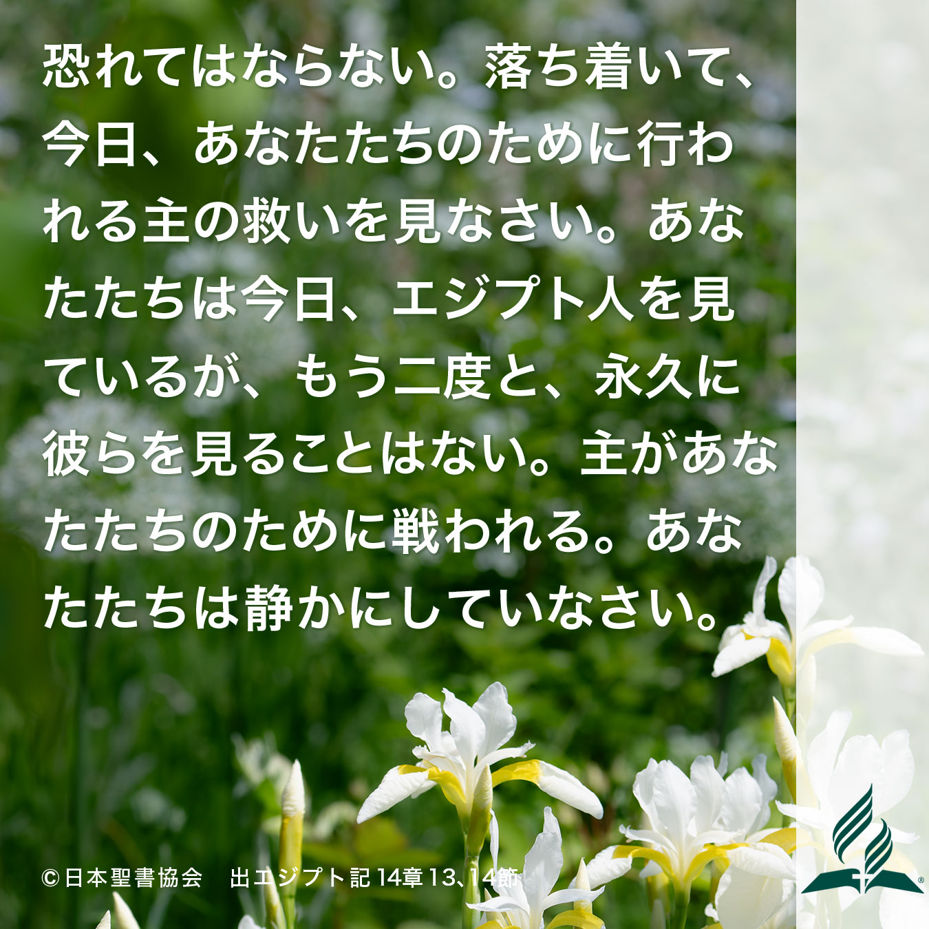 今週の暗唱聖句をお届けします 今週の暗唱聖句をお届けします