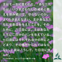 今週の暗唱聖句をお届けします