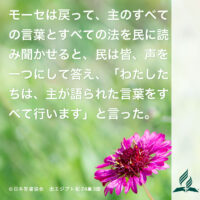 今週の暗唱聖句をお届けします