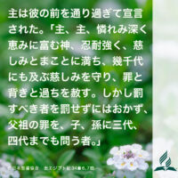 今週の暗唱聖句をお届けします