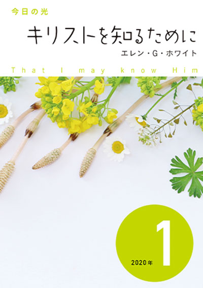 今日の光2020 今日の光2020